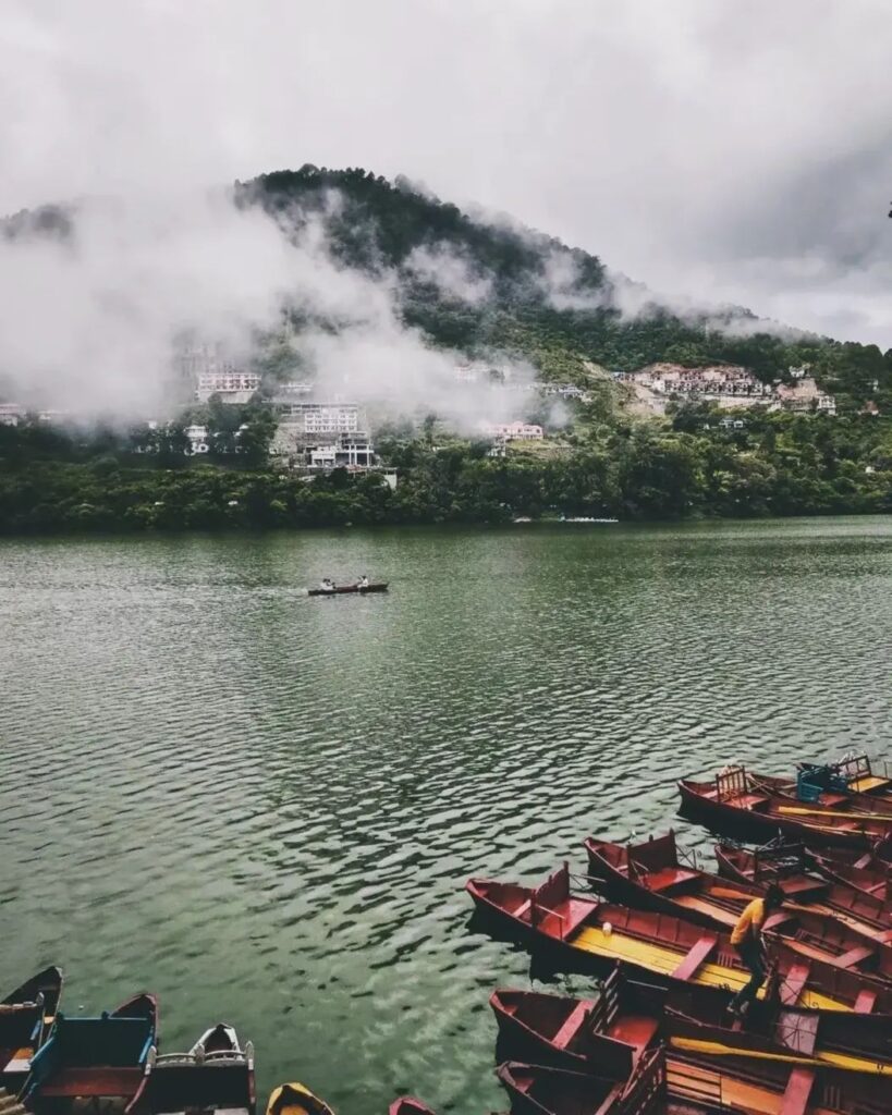 Df72c0de8dcf2dc8a07099471d297dc2 819x1024