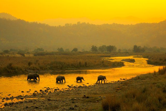 12c12cde06e93a3b1cb1458cc057d140 (1)